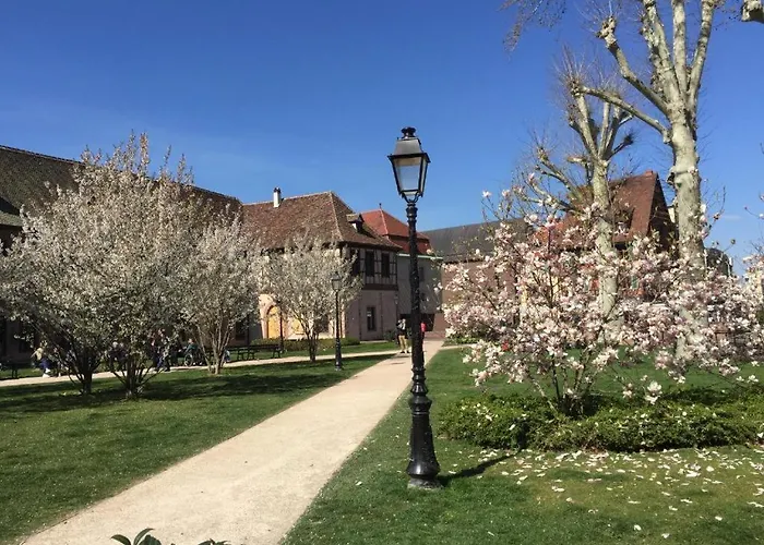 La Provence Lejlighed Colmar
